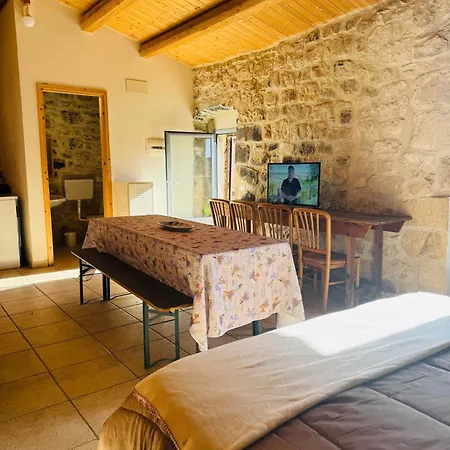 Apartment Casa Betta